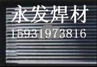 D842钴基焊条